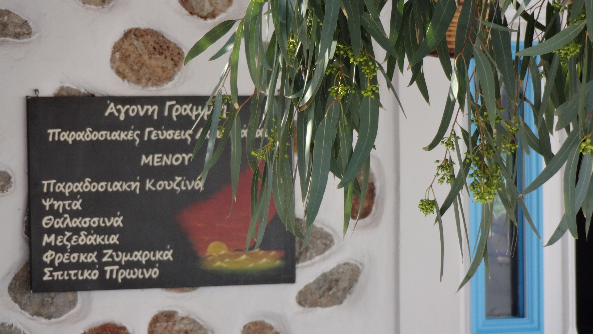 ΑΓΟΝΗ ΓΡΑΜΜΗ