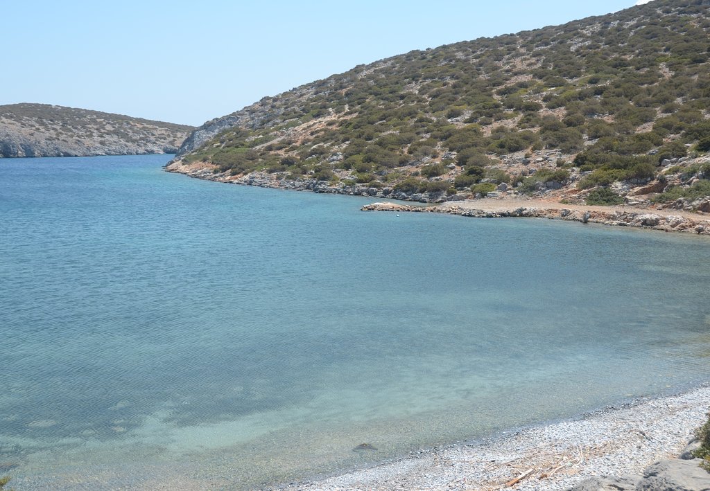 ΑΓΡΙΛΙΔΙ