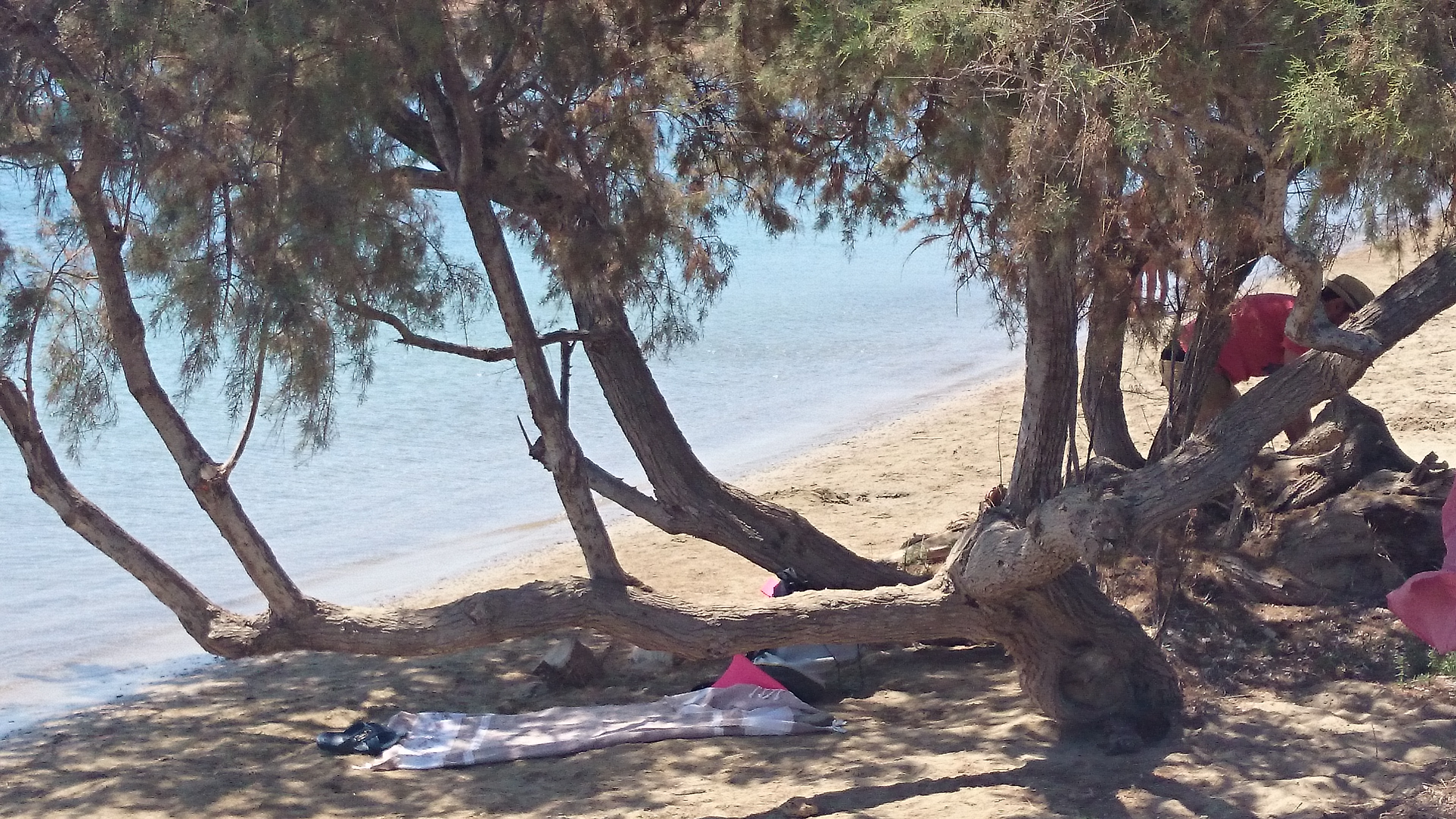 ΜΑΛΤΕΖΑΝΑ