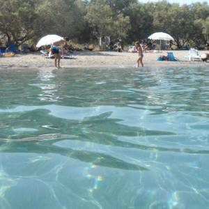 ΚΑΜΙΝΑΚΙΑ